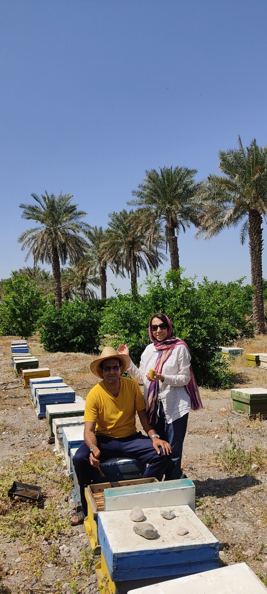 درباره بیلوکس